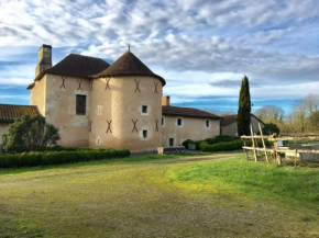 Wonderful atmospheric Manoir at Lenclo tre with large private swimming pool